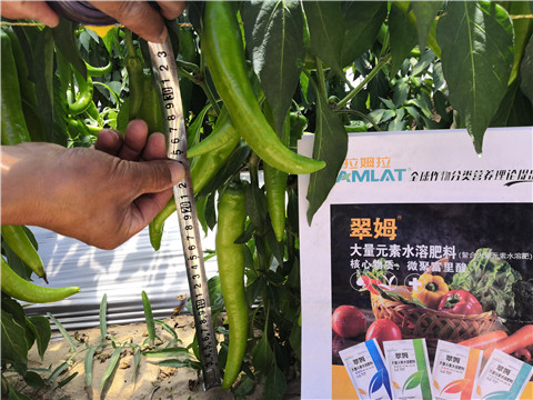 微生物菌劑，復(fù)合肥料，拉姆拉