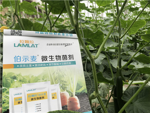 微生物菌劑，生根劑，拉姆拉