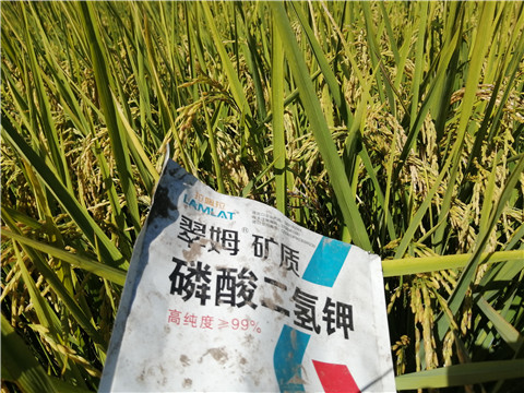磷酸二氫鉀，翠姆，拉姆拉