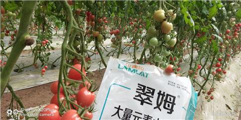 水溶肥，翠姆，拉姆拉