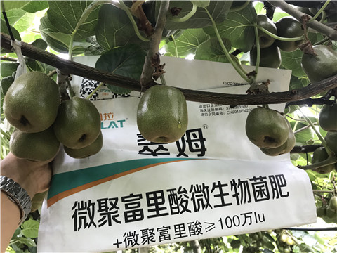 微生物菌劑，翠姆，拉姆拉