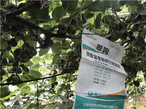 微生物菌劑，翠姆，拉姆拉