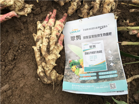 微生物菌劑，翠姆，拉姆拉