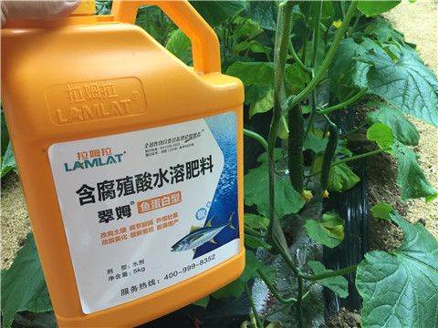 生根劑，魚蛋白水溶肥，拉姆拉