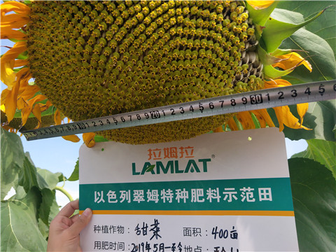 水溶肥，微生物菌劑，拉姆拉