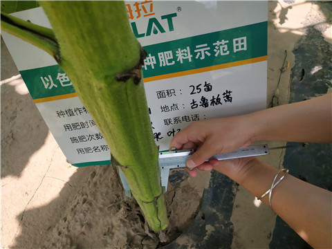 水溶肥，微生物菌劑，拉姆拉