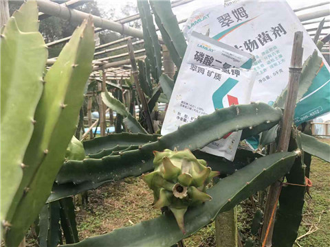 磷酸二氫鉀，翠姆，拉姆拉