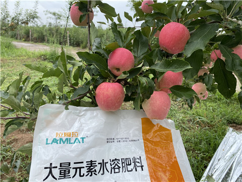 水溶肥，翠姆，拉姆拉