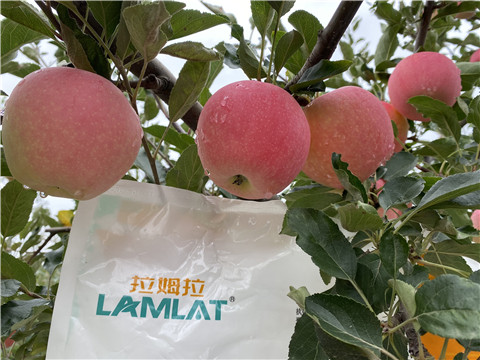 水溶肥，翠姆，拉姆拉