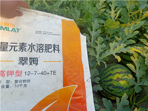 水溶肥，拉姆拉，翠姆
