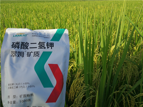葉面肥，水稻灌漿肥，拉姆拉
