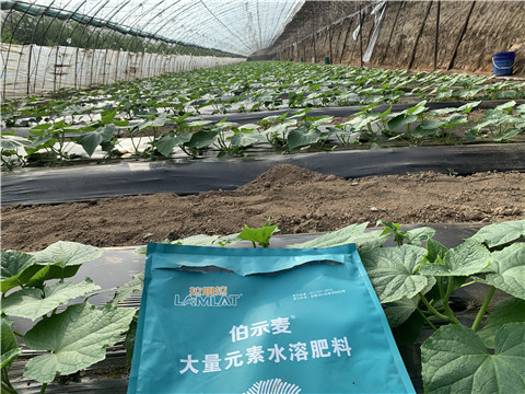 水溶肥，拉姆拉