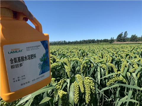 磷酸二氫鉀，拉姆拉，翠姆