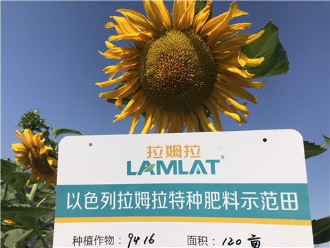 進口水溶肥，拉姆拉