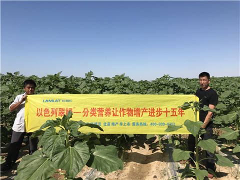進口水溶肥，拉姆拉