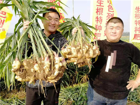 水溶肥，翠姆，拉姆拉