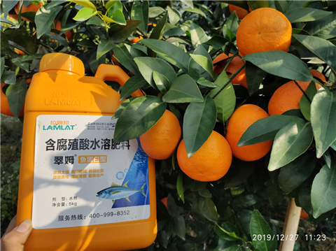 水溶肥，翠姆，拉姆拉