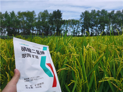 磷酸二氫鉀，拉姆拉，翠姆