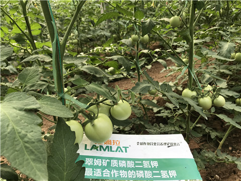 磷酸二氫鉀，拉姆拉，翠姆