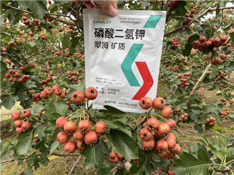 磷酸二氫鉀，拉姆拉，翠姆