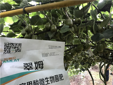 微生物菌劑，平衡顆粒復(fù)合肥，翠姆，拉姆拉