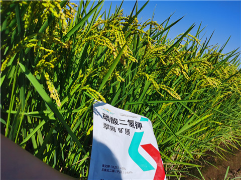 水溶肥，磷酸二氫鉀