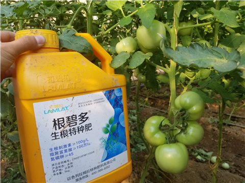 葉面肥，磷酸二氫鉀，微生物菌劑，翠姆，拉姆拉
