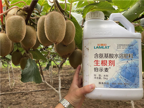 水溶肥，生根劑，微生物菌劑，伯示麥，拉姆拉