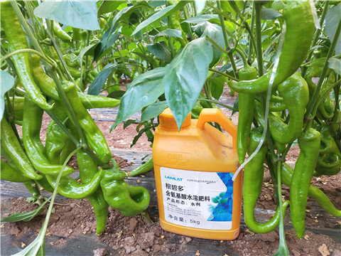 水溶肥，拉姆拉