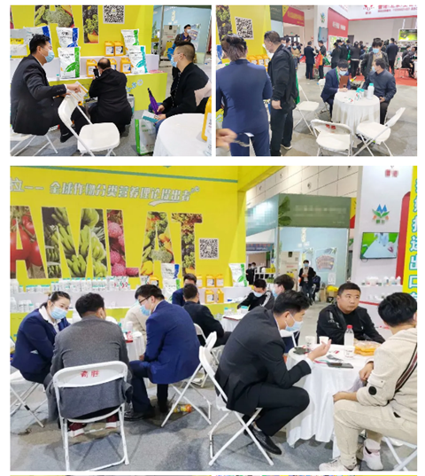 水溶肥，拉姆拉，翠姆