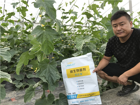 水溶肥，拉姆拉