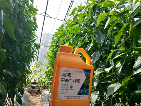 滴灌肥，拉姆拉，翠姆