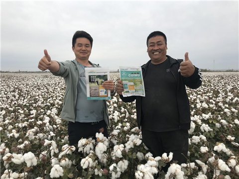 棉花，水溶肥，拉姆拉，翠姆