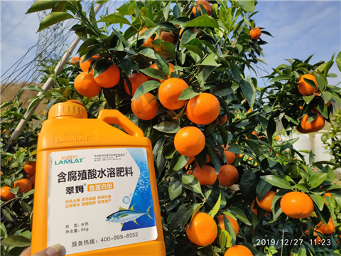 水溶肥，拉姆拉，翠姆