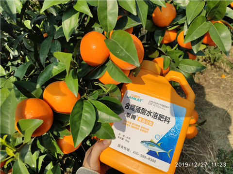 水溶肥，拉姆拉，翠姆