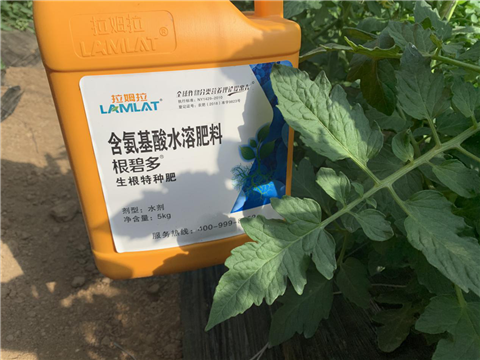 水溶肥，拉姆拉，翠姆