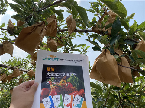 大量元素水溶肥，拉姆拉，翠姆
