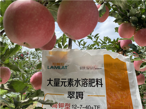 大量元素水溶肥，拉姆拉，翠姆