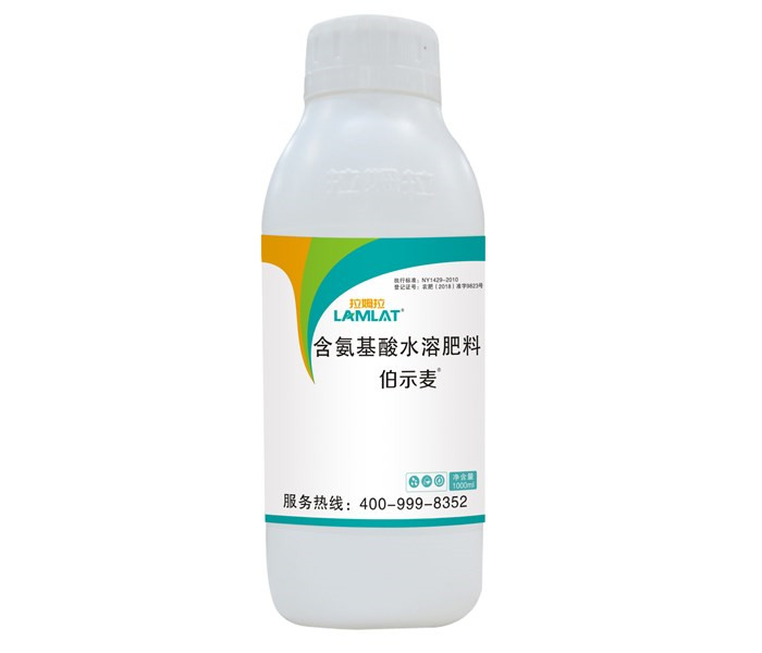 葉面肥，拉姆拉，伯示麥