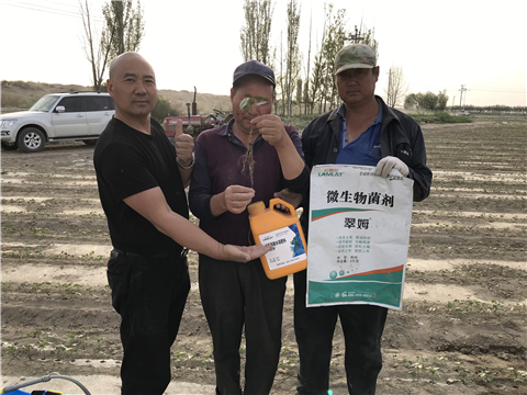 水溶肥，拉姆拉，翠姆