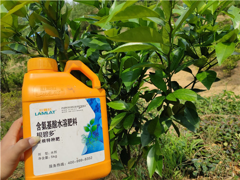 沖施肥，拉姆拉，翠姆