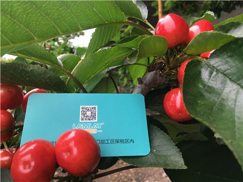 大量元素水溶肥，拉姆拉，翠姆
