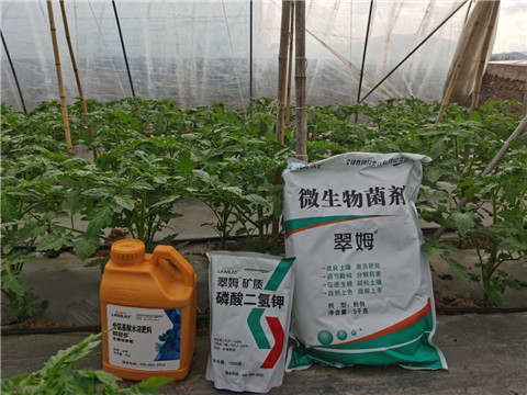 水溶肥，拉姆拉，翠姆