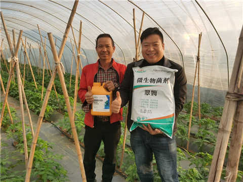 水溶肥，拉姆拉，翠姆