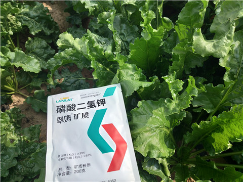 水溶肥，拉姆拉，翠姆