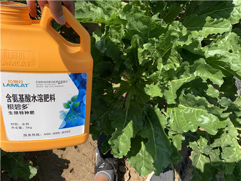 水溶肥，拉姆拉，翠姆