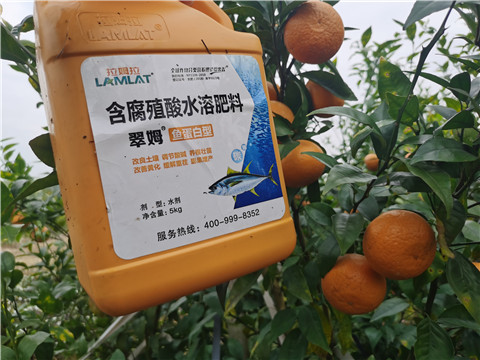水溶肥，拉姆拉，翠姆