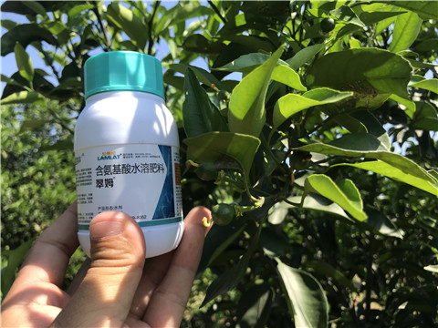 葉面肥，拉姆拉，翠姆