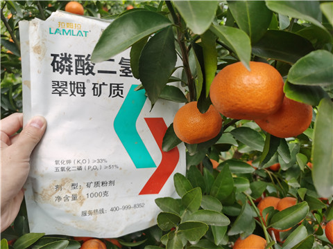 水溶肥，拉姆拉，翠姆