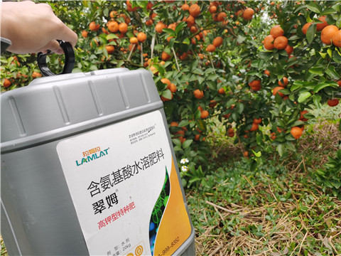水溶肥，拉姆拉，翠姆